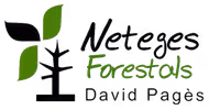 Neteges Forestals David