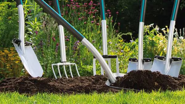 Limpieza de fincas solares y terrenos